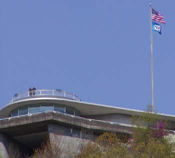 Look-at-all-those-Spyders